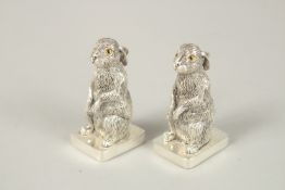 .A PAIR OF 800 WHITE METAL RABBIT SALT AND PEPPERS. 6cms high.