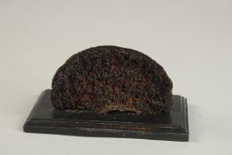 A FUNGUS SPECIMEN. 11cms high, on a wooden base.