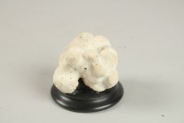 A SMALL CORAL SPECIMEN. 7cms x 6cms, on a wooden base.