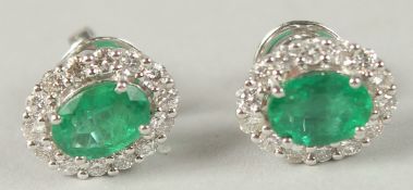A PAIR OF 18CT WHITE GOLD OVAL EMERALD AND RBC DIAMOND CLUSTER STUDS, boxed. Emeralds 1.65ct.