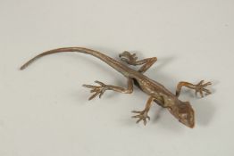 A JAPANESE BRONZE LIZARD. 14cms long.