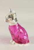 A PINK GLASS AND SILVER PLATE NOVELTY DOG CLARET JUG. 20cms high.