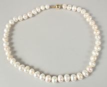 A HEAVY NECKLACE STRUNG WITH WHITE FRESHWATER CULTURED PEARL with 9ct gold ball clasp.