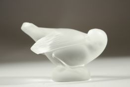 A FROSTED GLASS LALIQUE BIRD. Etched Lalique, France. 10cms high.