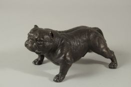 A GOOD BRONZE BULLDOG. 16cms long.