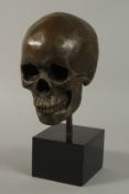 A GOOD BRONZE SKULL on a marble base. Skull, 22cm high.