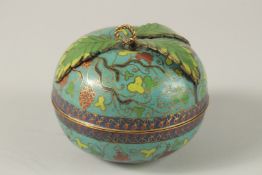 A CHINESE TURQUOISE GROUND CLOISONNE LIDDED BOX IN THE FORM OF AN APPLE, 11cm diameter.