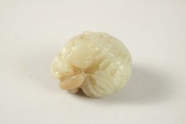 A CHINESE JADE CARVED JADE DRAGON WITH TOAD AND CENTIPEDE, 4.5cm.