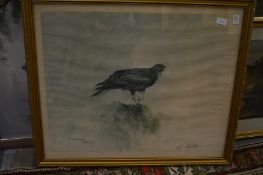 John Kinnear, Montagu's Harrier, limited edition print, pencil signed and dated '75.