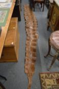 A large snake skin.