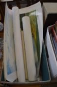 Unframed pictures.