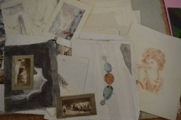 A collection of unframed drawings, natural history and other subjects.
