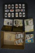 A collection of cigarette cards, some in albums, some loose in old cigarette tins.