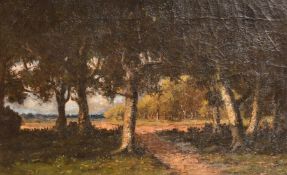 Barbizon School, 19th Century French, pathway in a wooded landscape, oil on canvas, 13