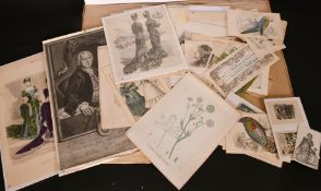 A good folio of mostly 19th Century Prints and engravings, unframed, some a/f, (q).