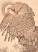 Edward Julius Detmold (1883-1957), 'The Falcon', etching, plate size 9