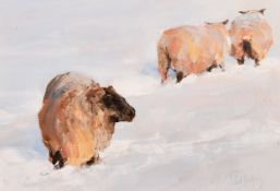 Paul Hedley (b. 1947), 'Sheep at Naccolt', sheep in a winter landscape, oil on board, signed,