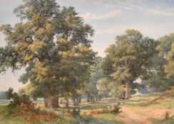 19th Century English School, deer resting in a glade in parkland, watercolour, 14