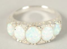 A SILVER FIVE STONE OPAL RING. Ring size (P).