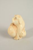 A CARVED BONE DOG WITH A BALL NETSUKE, signed. 4cms.
