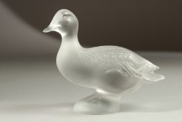 A LALIQUE GLASS DUCK. 10cms long.