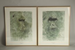 A PAIR OF FRAMED UGANDAN PRINTS OF GORILLAS.