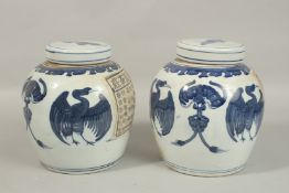A PAIR OF CHINESE BLUE AND WHITE GINGER JARS AND COVERS with birds.