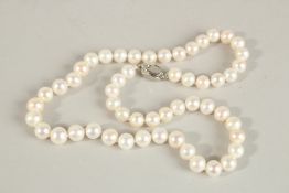 A STRING OF FIFTY-TWO PEARLS with silver clasp.