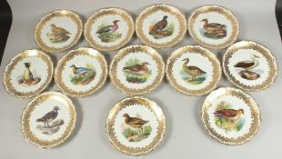 A SUPERB SET OF TWELVE VIENNA PLATES, edged in gilt and painted with birds. Vienna mark and