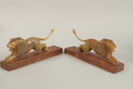 A PAIR OF 19TH CENTURY INDIAN CARVED HORN LIONS ON WOODEN STANDS, 20cm long (excl. base).