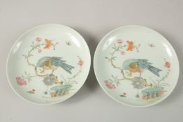 A PAIR OF CHINESE PORCELAIN DISHES, finely painted with birds on a branch, 12.5cm diameter.