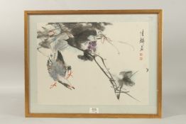 A CHINESE PAINTING ON PAPER DEPICTING A BIRD, inscribed upper right with two red seal marks, framed