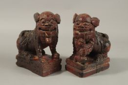 A PAIR OF 18TH CENTURY CHINESE LACQUERED CARVED WOOD LION DOGS, 23cm high.