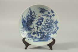 A 19TH CENTURY DAOGUANG CHINESE BLUE AND WHITE PORCELAIN DISH, painted with exotic bird and flora,