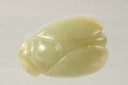 A 19TH CENTURY QING DYNASTY CHINESE CARVED JADE MOTH, 7cm long.