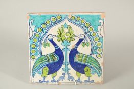 AN UNUSUAL 19TH CENTURY NORTH INDIAN MULTAN GLAZED POTTERY TILE, depicting two peacocks, 30cm x 30.