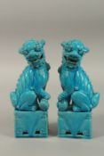 TWO CHINESE TURQUOISE GLAZE PORCELAIN LION DOGS, 25cm high.