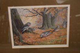 Archibald Thorburn, four pencil signed colour prints depicting wood pigeons, kingfisher, pin