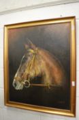 Conn, study of a horses head, oil on canvas, signed and dated '76.