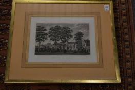 A pair of topographical colour prints.