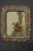 A small watercolour painting of an exotic pheasant in a decorative frame.