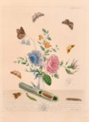 Moses Harris, a set of eight butterfly prints, later impressions, each 14