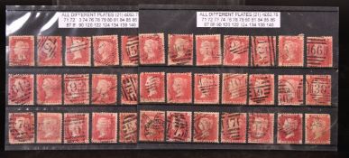 VICTORIA PENNY REDS (54).