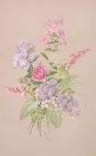19th Century English School, two botanical watercolours, each indistinctly signed with initials,