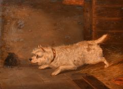 Late 19th Century English School, a terrier patiently waiting, oil on canvas, 9