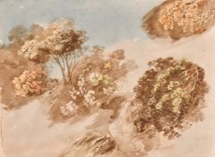 Circle of J. M. W. Turner, studies of foliage, watercolour, with colour tests and instructions on