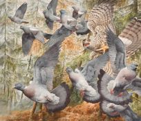 Robert Morton (20th Century), a sparrowhawk disturbing wood pigeons, watercolour, signed and dated