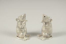A PAIR OF NOVELTY MICE SALT AND PEPPERS.