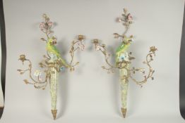 A GOOD PAIR OF GILT METAL AND PORCELAIN WALL SCONCES with two candle sconces, flowers and birds.