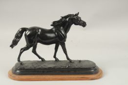 A BRONZE OF A STANDING HORSE. Signed. 30cms high.